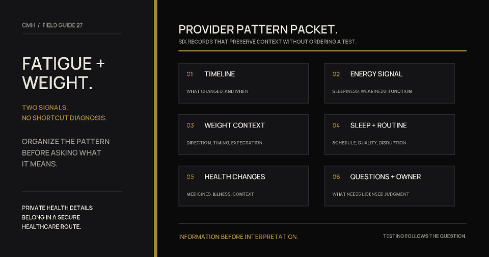 Six-part Provider Pattern Packet showing timeline, energy, weight, sleep, health changes, and questions before interpretation.