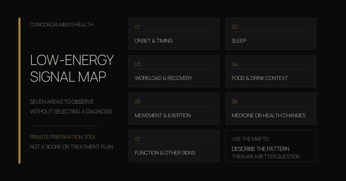 Seven-part low-energy signal map covering timing, sleep, workload, food and drink context, movement, health changes, and daily impact.